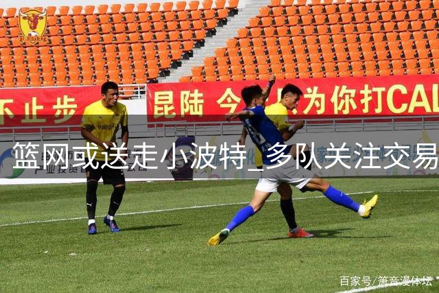 篮网或送走小波特 多队关注交易动向